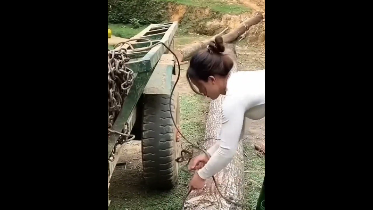 Она сама купила 100 тонн брёвен &mdash; невероятная сила!