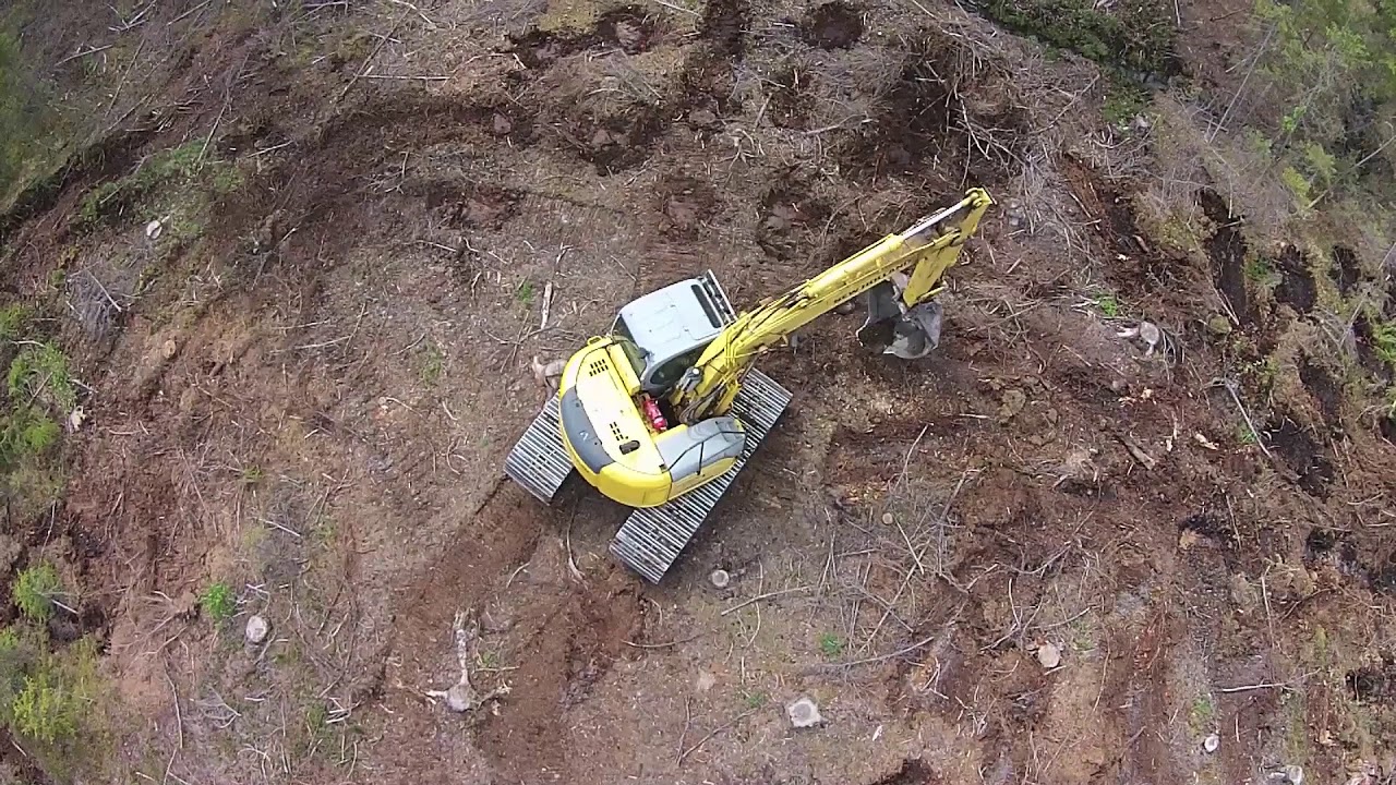 Havaintometsa Luumaki
