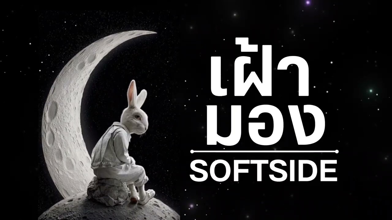 เฝ้ามอง|Softside|เพลงฟังสบาย