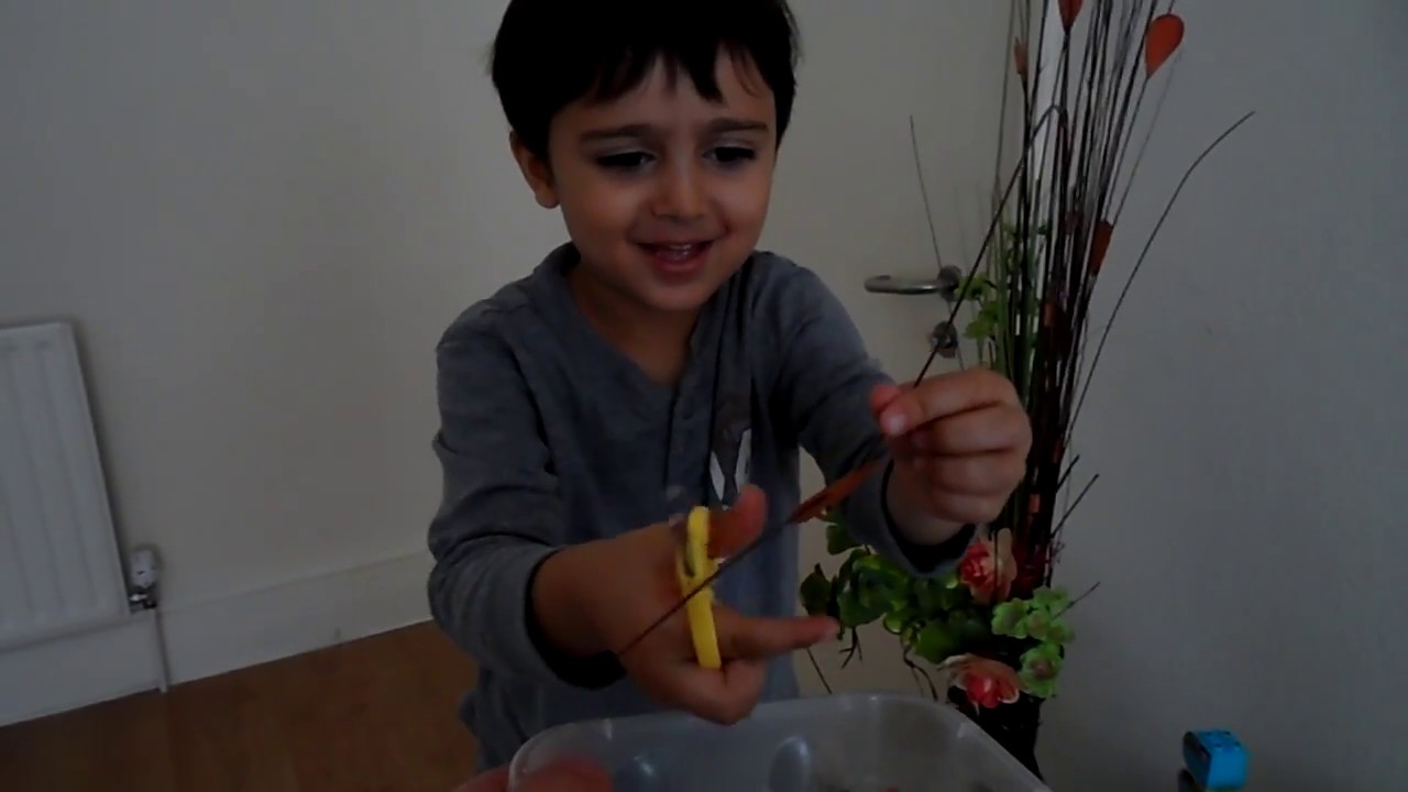 Joseph trimming a plant/ video for kids