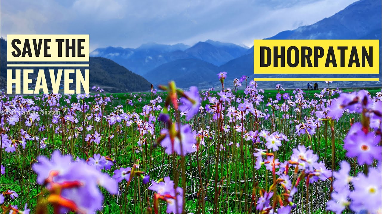 Dream Destination But I am Very Sad to reach Dhorpatan|| Save The Dhorpatan