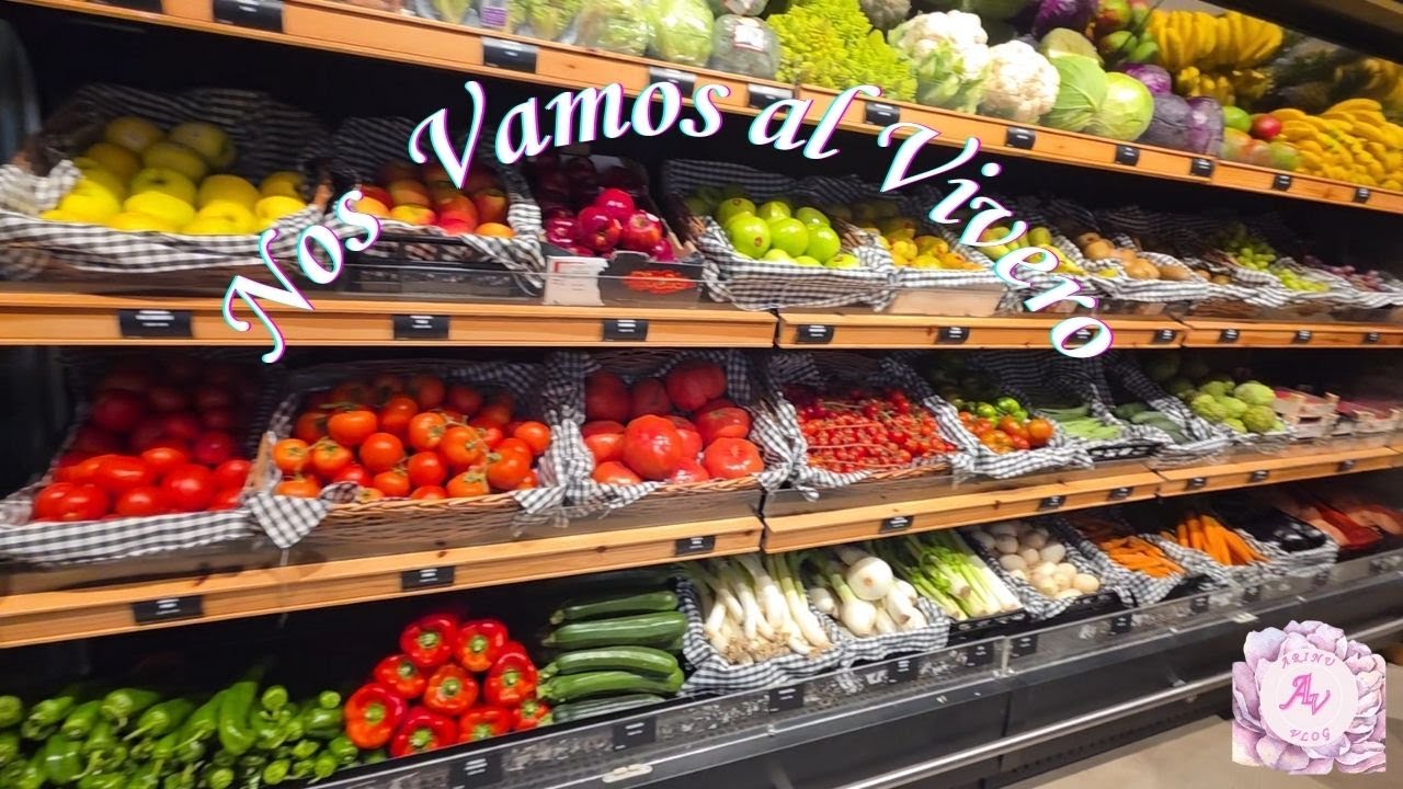 🌸 VLOG VAMOS AL VIVERO 🌸 Receta Magro Con Tomate ✨ArinuVlog