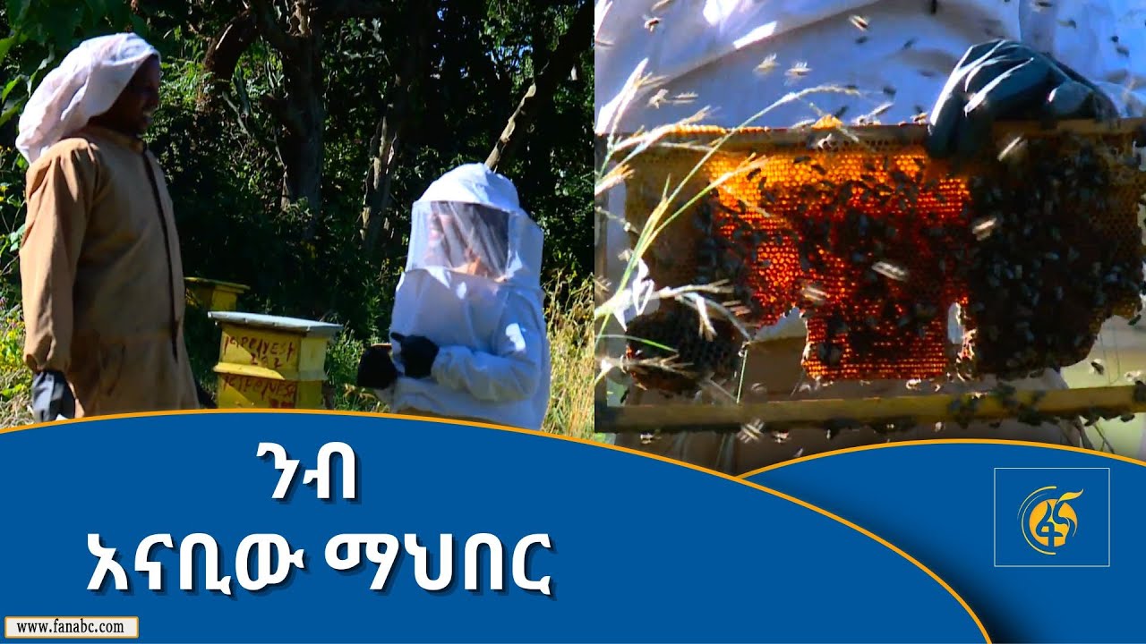 ንብ አናቢው ማህበር
