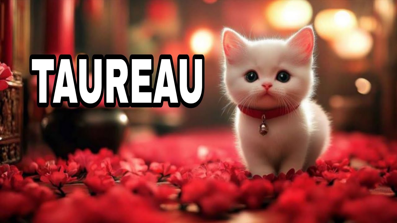 TAUREAU😍 Incroyable ! Cette personne vous veut vraiment… découvrez son nom ✨