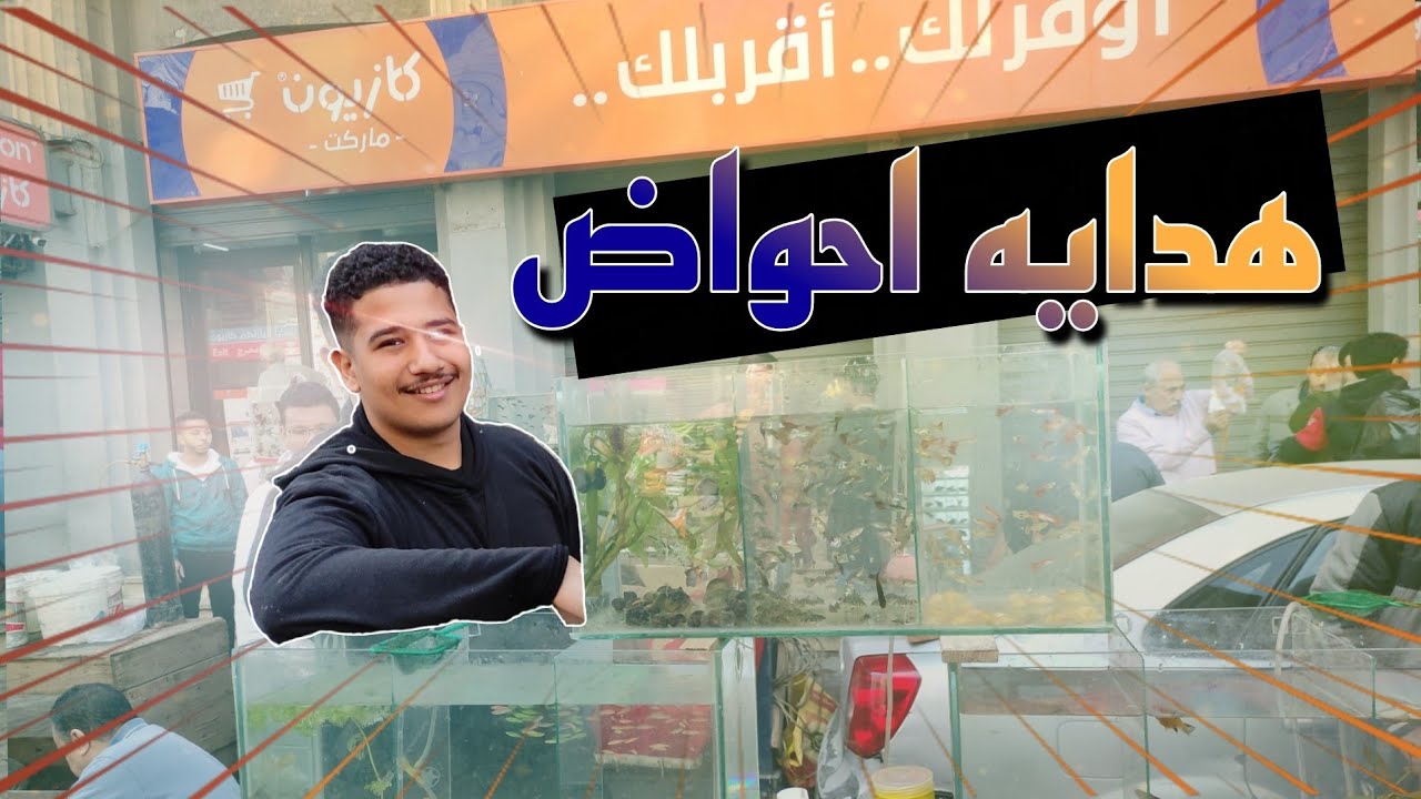 اسعار احواض سمك الزينه اسعار اسماك الزينه السمك هدايا