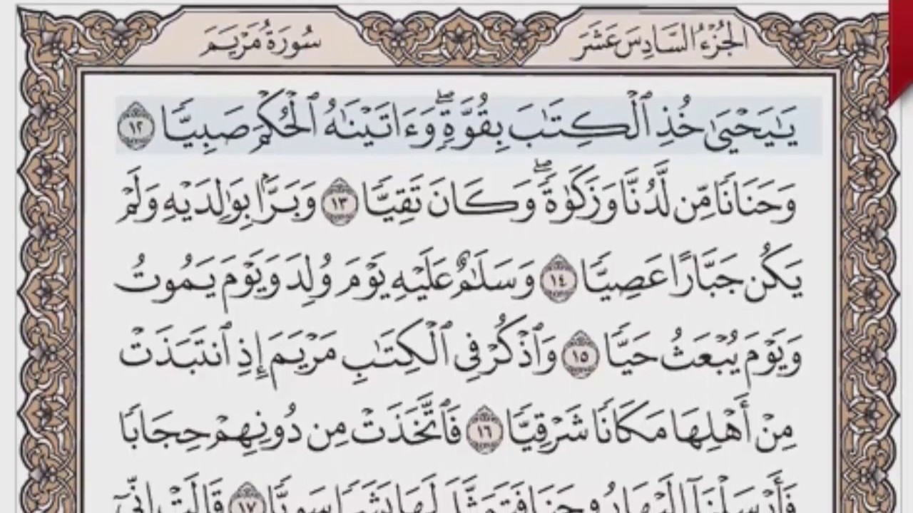 القرآن الكريم بالصفحات صوت وصورة ص/ 306 الشيخ محمود خليل الحصري بمد المنفصل