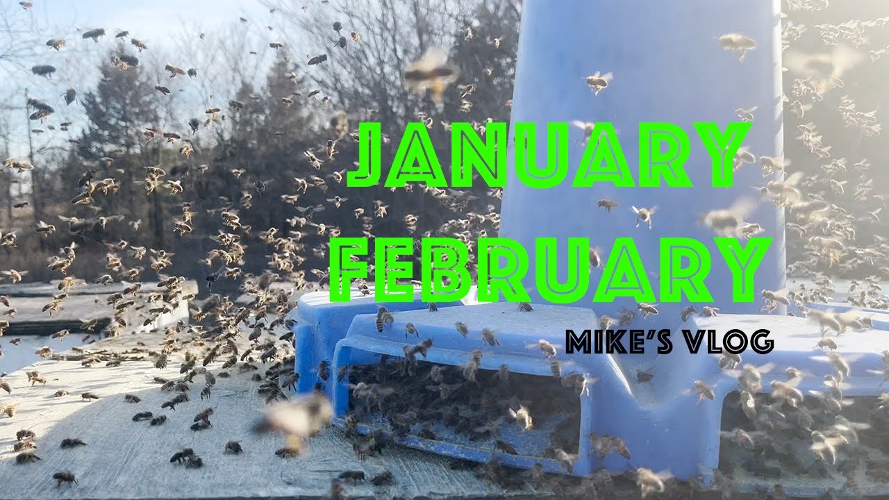 January and February in the apiary | HBU readies beehives for California Almonds | Infrastructure