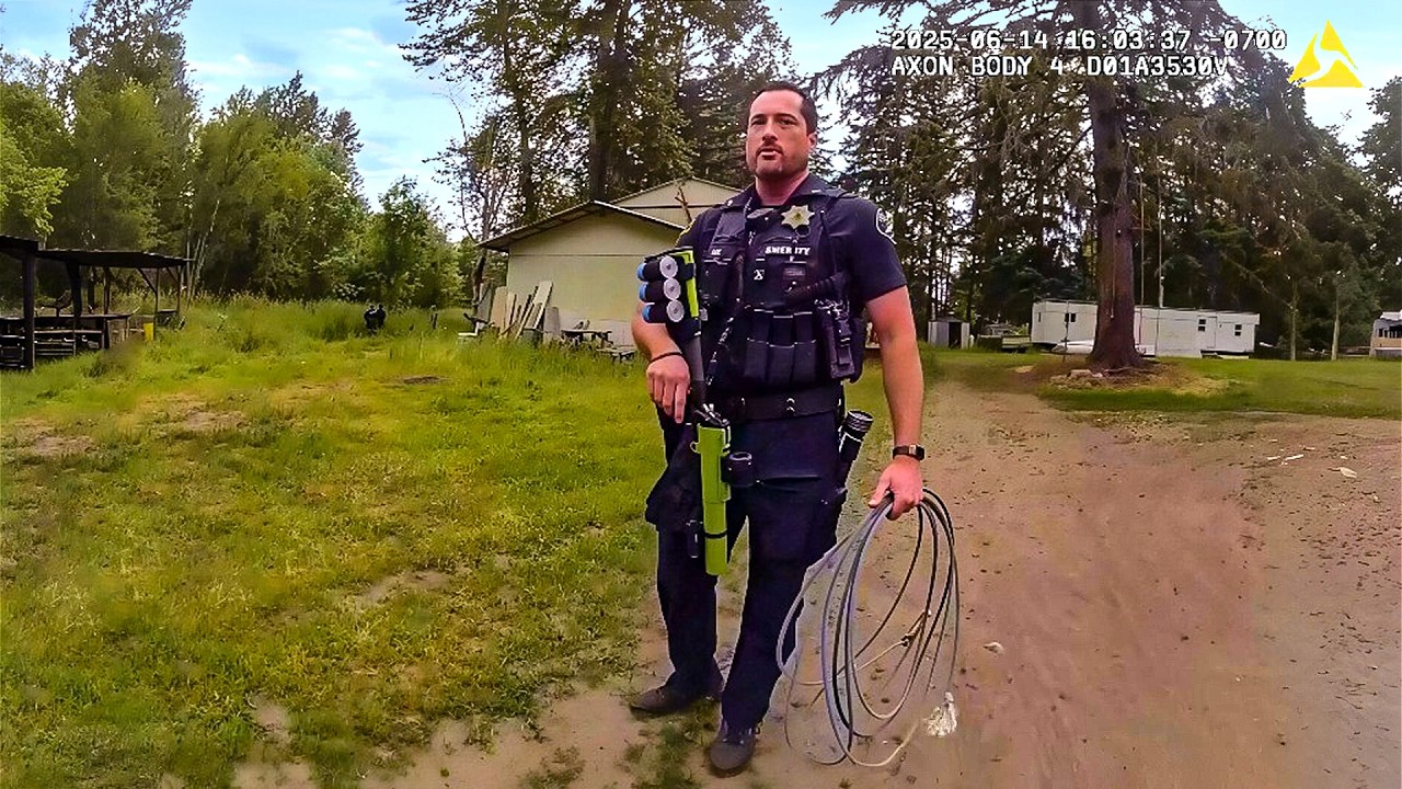 Man With Chainsaw vs. Cop With Lasso