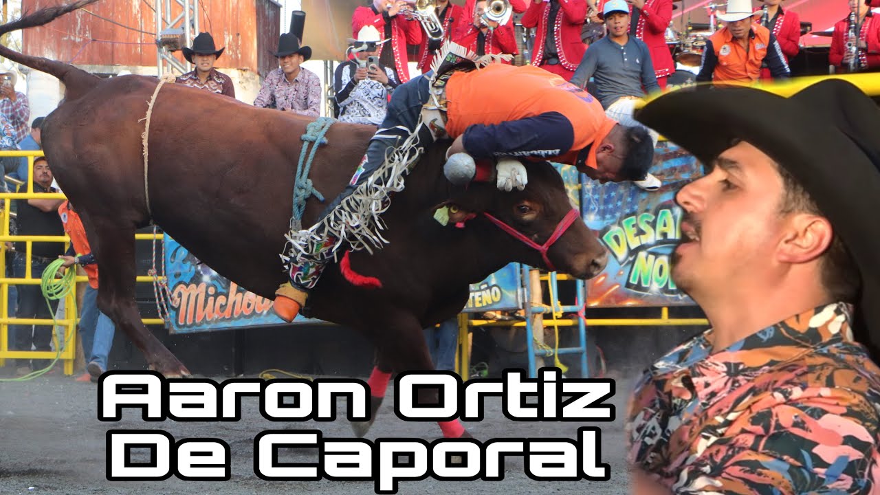 El Gallo Fino Ayudando a Su Hermano ! Los Toros Aventureros en Indaparapeo 2026 