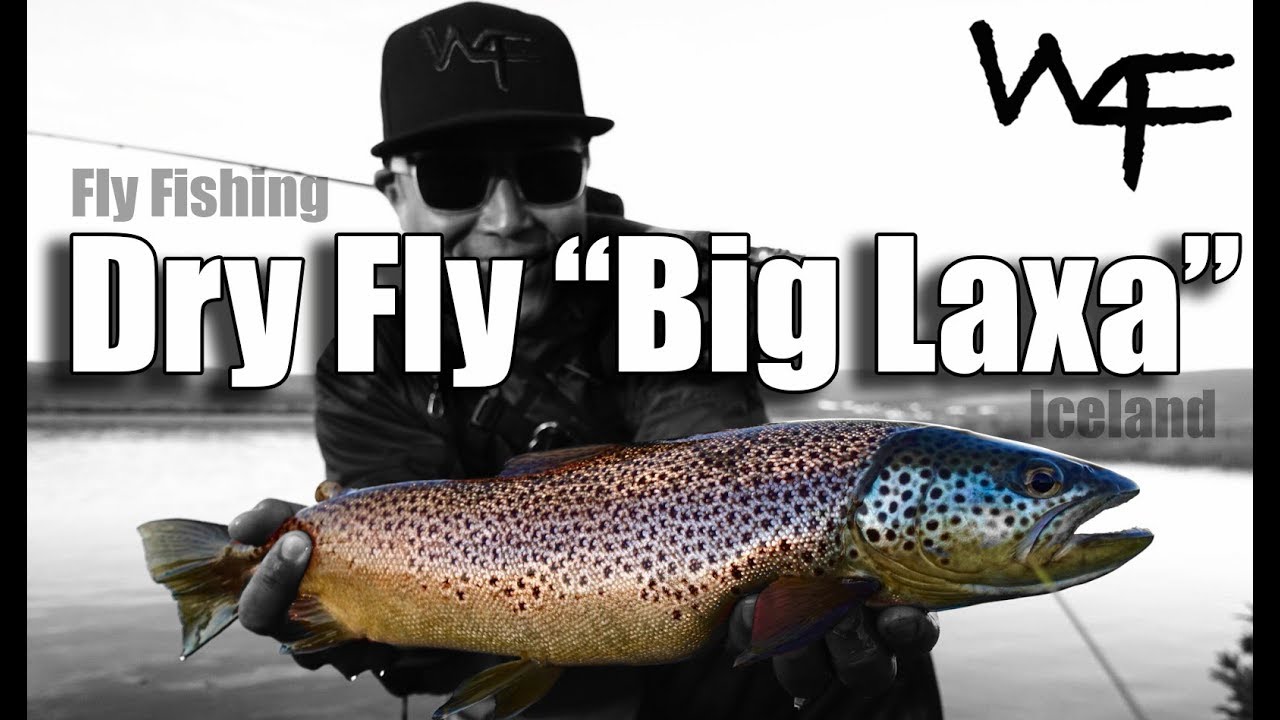 W4F - Fly Fishing Iceland - Best Dry Fly Stream 