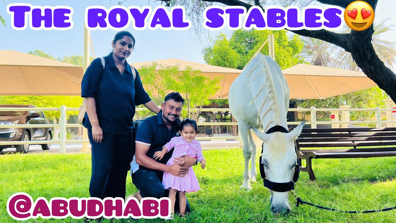 The Royal Stables At Abudhabi😍😍😍/Horse Riding/അബുദാബിയിലെ റോയൽ സ്റ്റബ്ൾസ് കണ്ടാലോ ❤️❤️