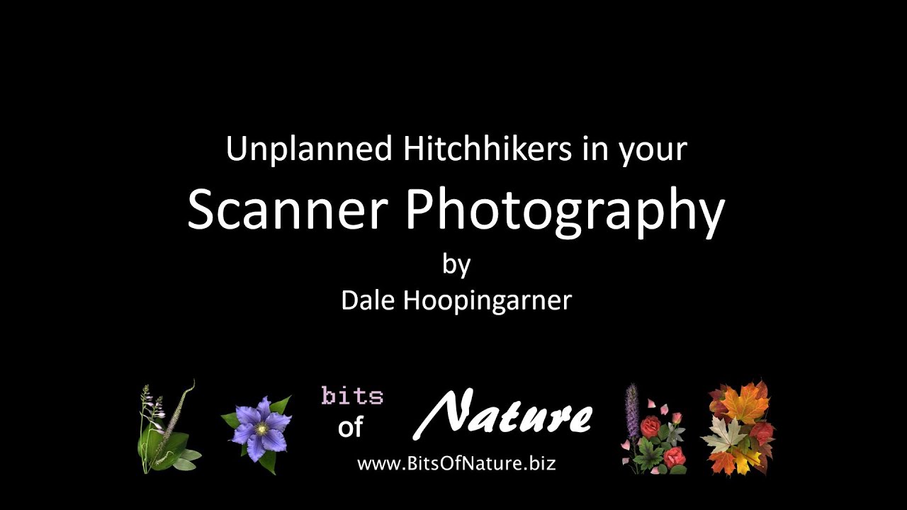 Scanography Hitchhikers  - They'll show up when you least expect them!