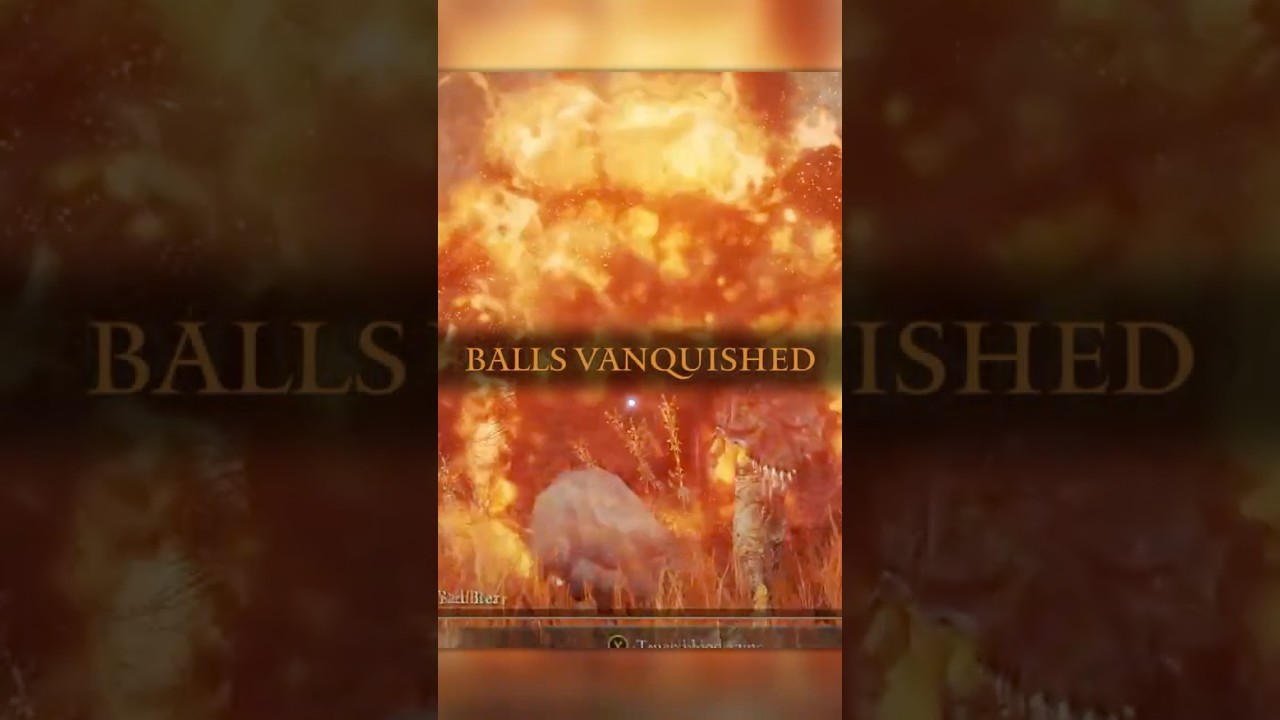 hit em where it hurts! #eldenring #shadowoftheerdtree