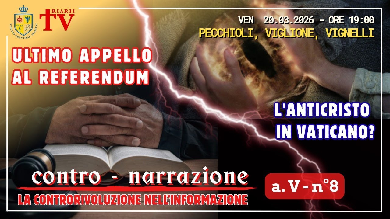 Contro Narrazione Anno V N.8 - Pecchioli, Viglione, Vignelli