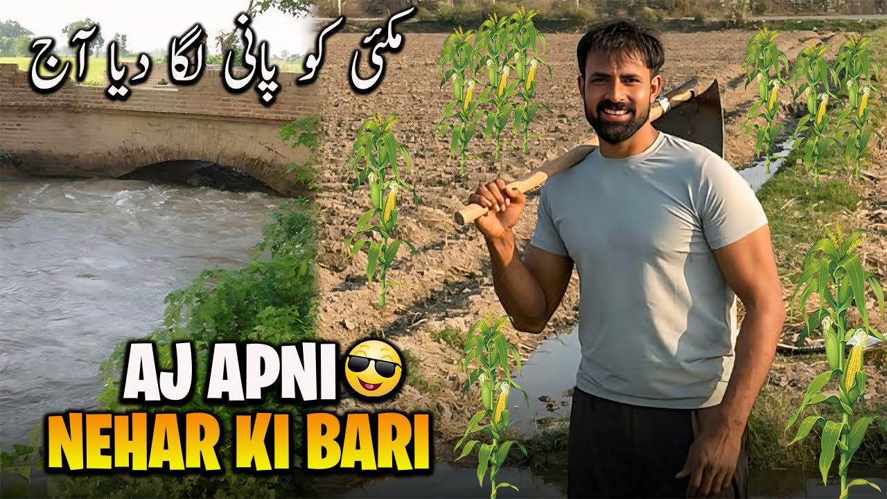 Aj Apni Nehar Ki Bari Thi 😍 Aj Ka Din Kesa Guzra 🤔 | آج مکئی کو پانی لگا دیا