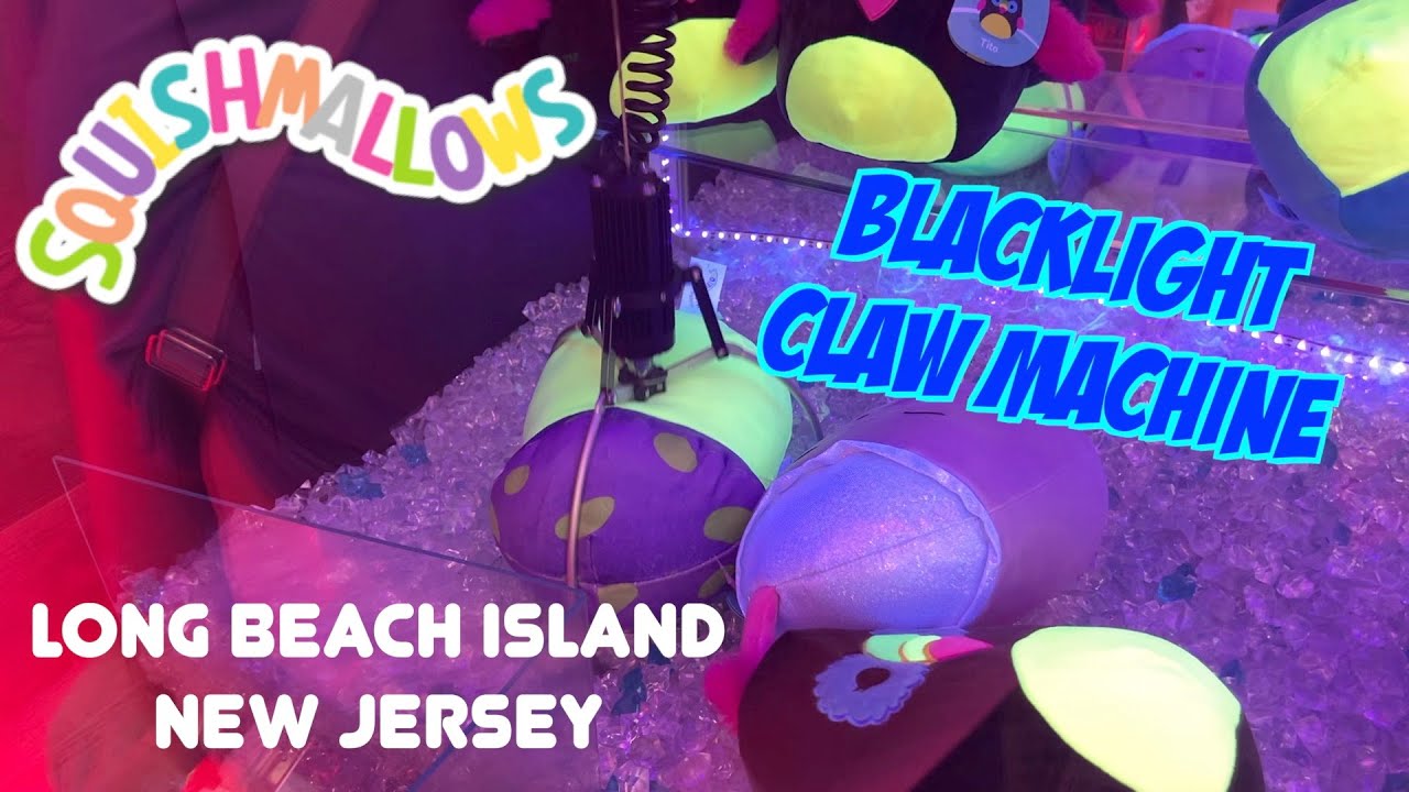 LBI SQUISHMALLOW HUNTING - Costco and Claw Machines!