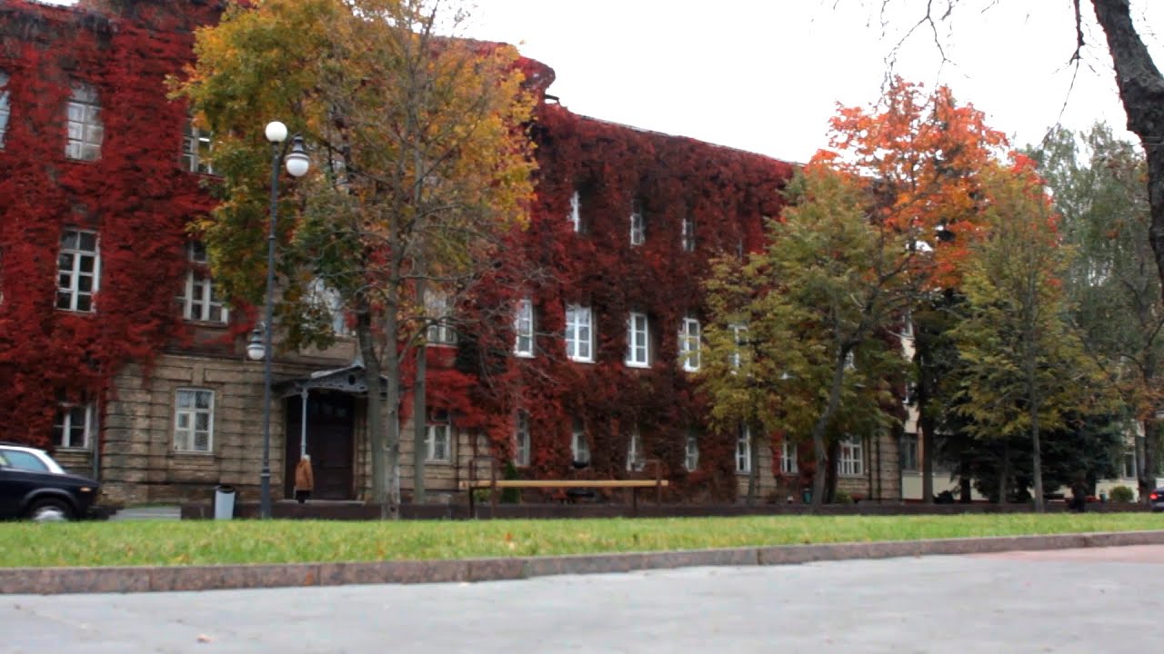 The image film of the Yanka Kupala State University of Grodno