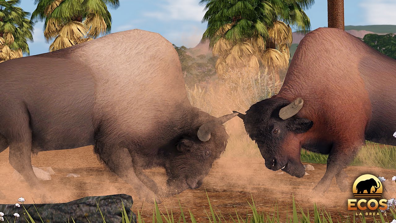 Brutal Bison Battle for Dominance! | Roblox Ecos: La Brea