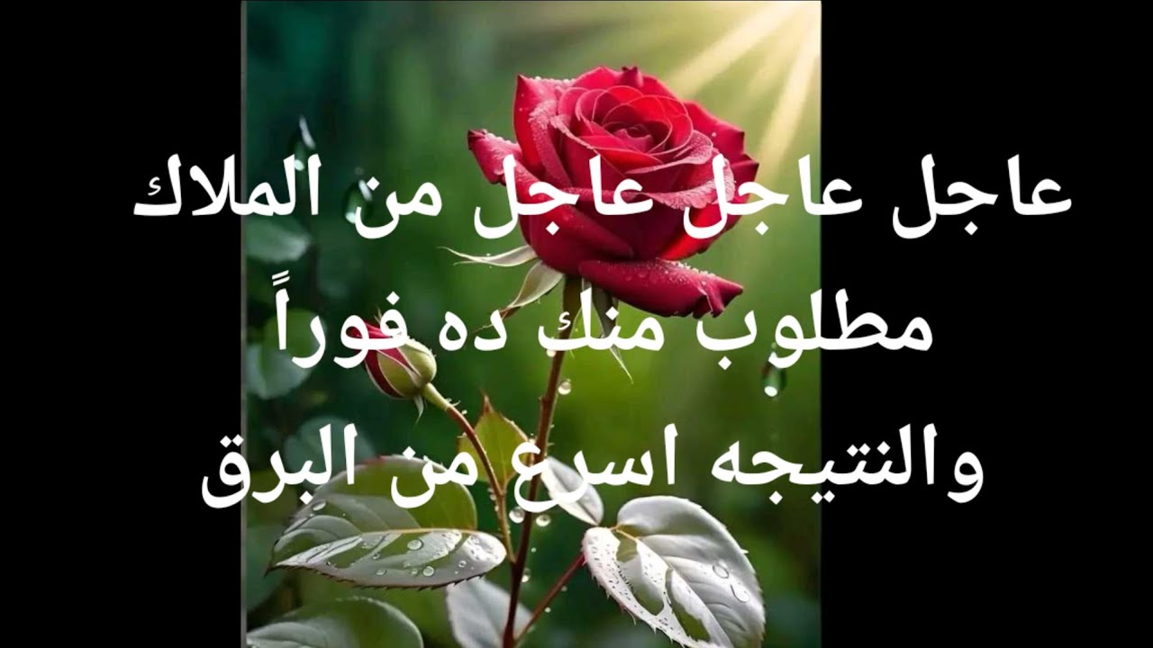 عاجل عاجل عاجل من الملاك مطلوب منك ده فوراً والنتيجه اسرع من البرق
