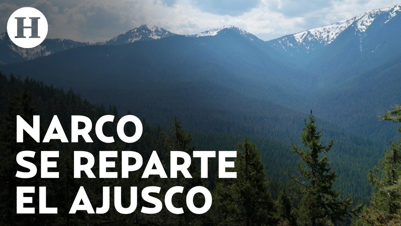 Chapitos, CJNG y La Unión Tepito operan en la CDMX desde el Ajusco