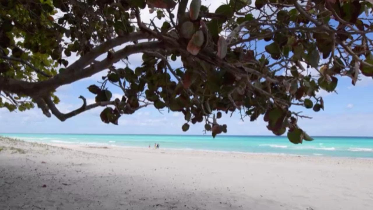 Le 10 migliori spiagge del mondo per il 2022 secondo Tripadvisor (c'&egrave; anche un'italiana)