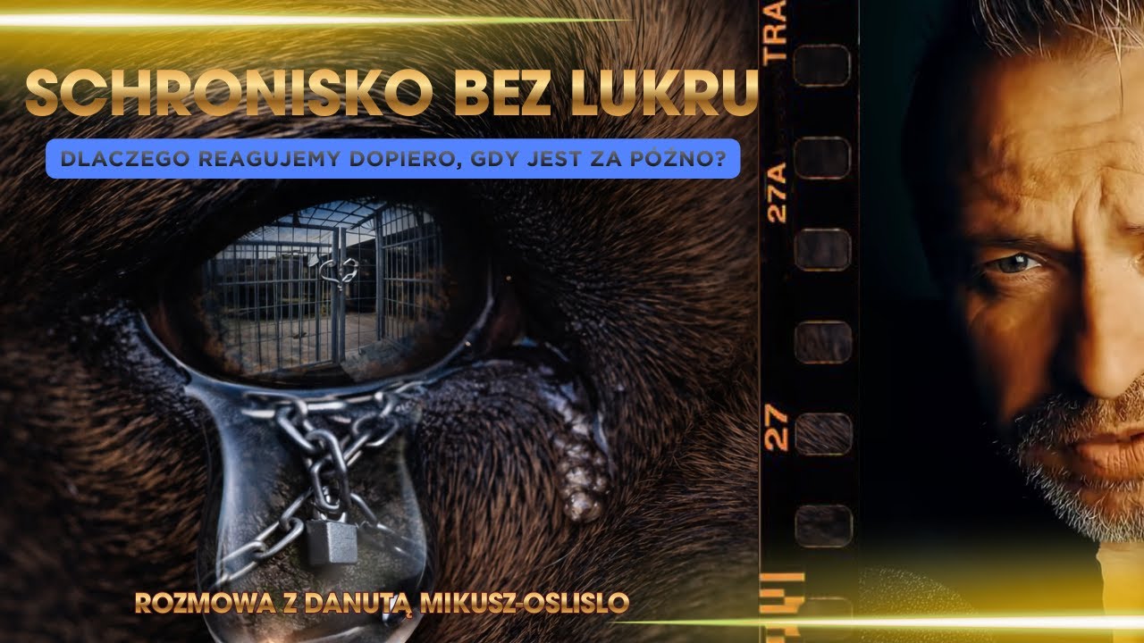 DLACZEGO REAGUJEMY DOPIERO, GDY JEST ZA P&Oacute;ŹNO? SCHRONISKO BEZ LUKRU [ZABRZE]