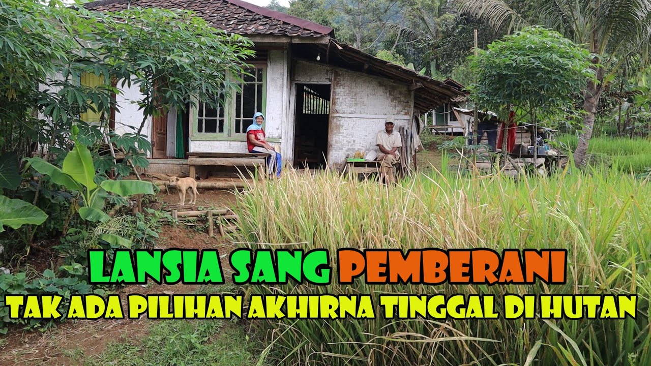 Tinggal Di Hutan Sebetulnya Bukan Kemauan Si Abah. Mereka Tak Punya Pilihan Lagi.