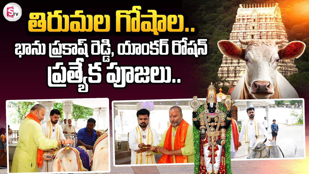 గోషాలలో ప్రత్యేక పూజలు..| Tirumala Tirupati Ghoshala Temple | SumanTV Annamayya Dist