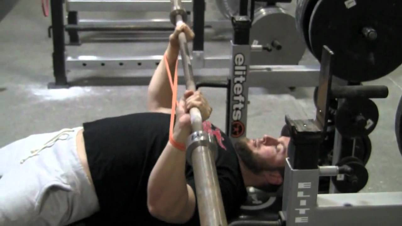 EliteFTS.com - So You Think You Can Bench (Part 3)