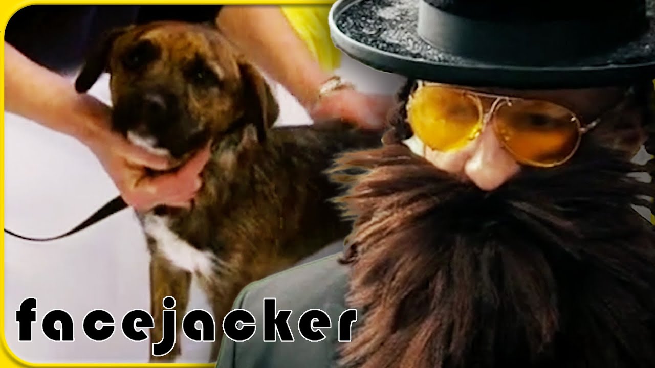 Terry Tibbs Helping Puppies In Need | Facejacker