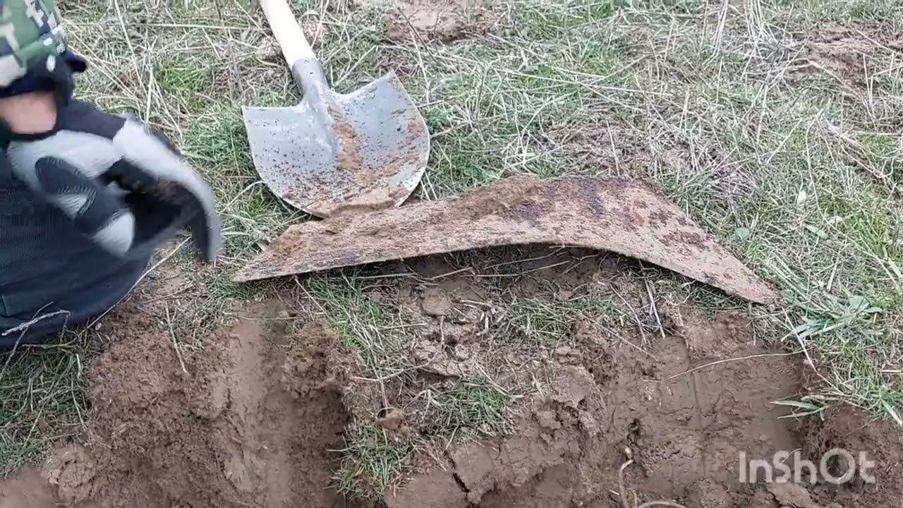 Қаладан зерігіп, бетіміз ауған жаққа далаға кеттік. Нәтижесі қалай болды?