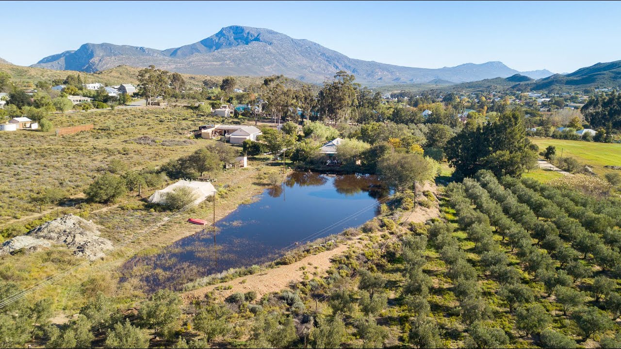 Olive Farm with a dam - Barrydale, Property for sale