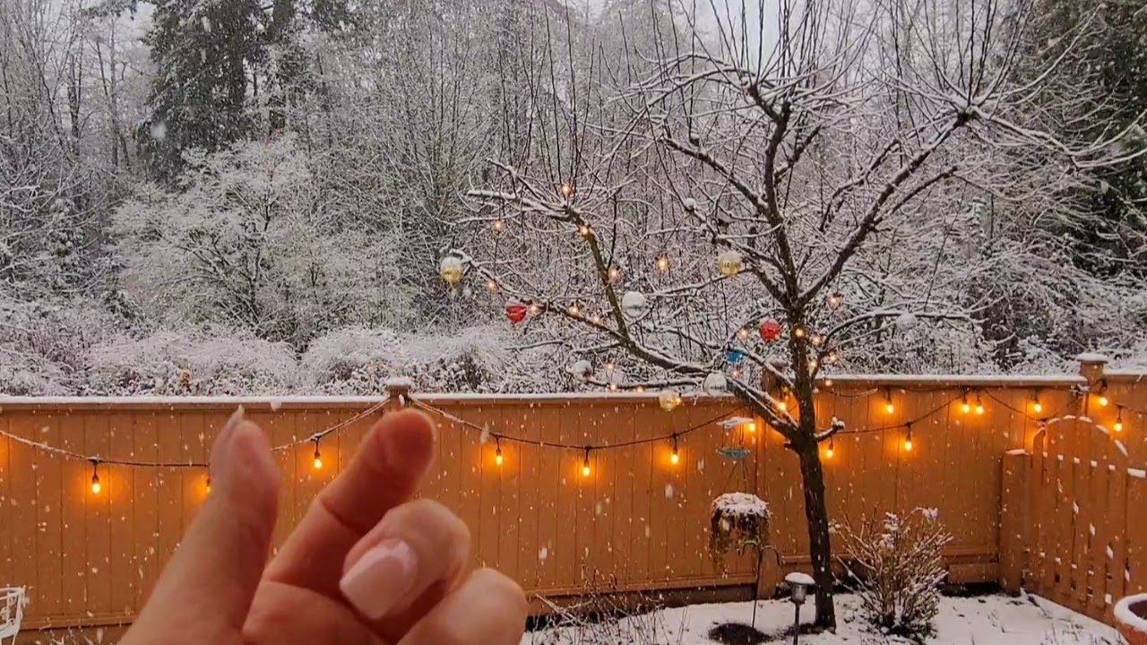 ASMR Camera Tapping In The Snow | Lo-fi