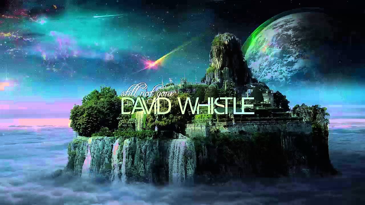 David Whistle - Still Not Gone