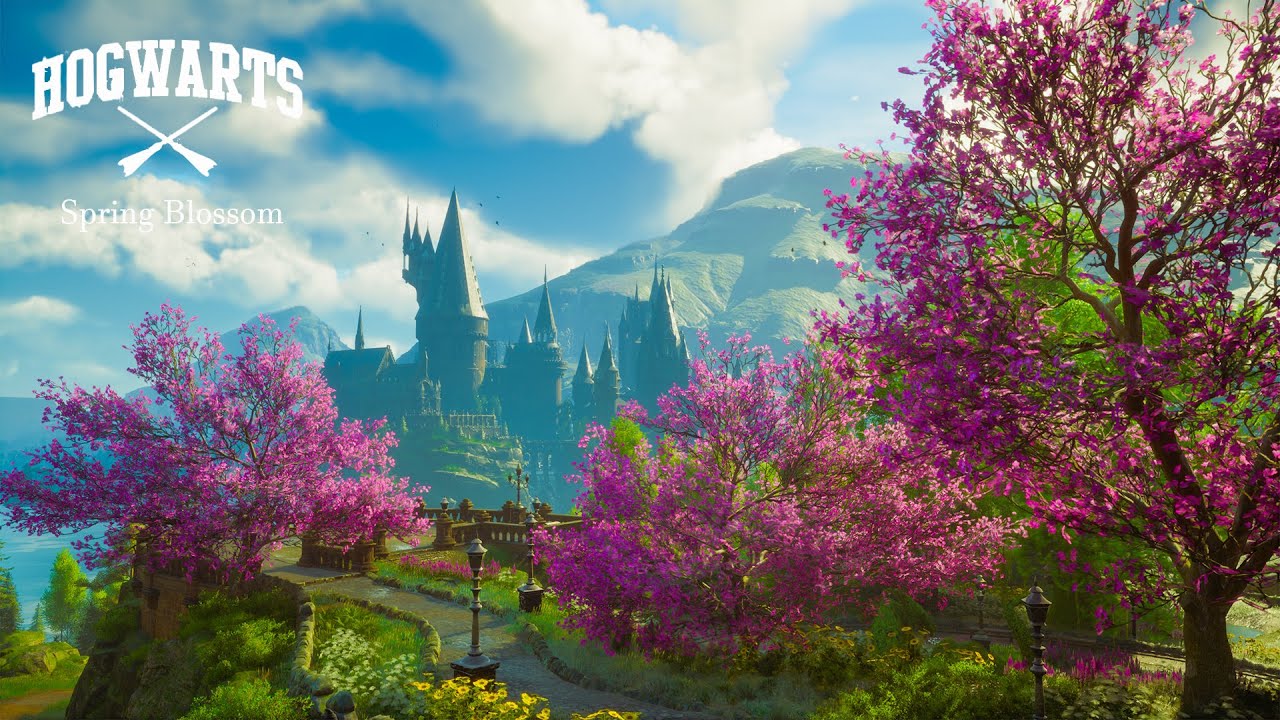 Hogwarts Morning Spring Blossom 🌸 Calming & Peaceful Harry Potter Music & Ambience
