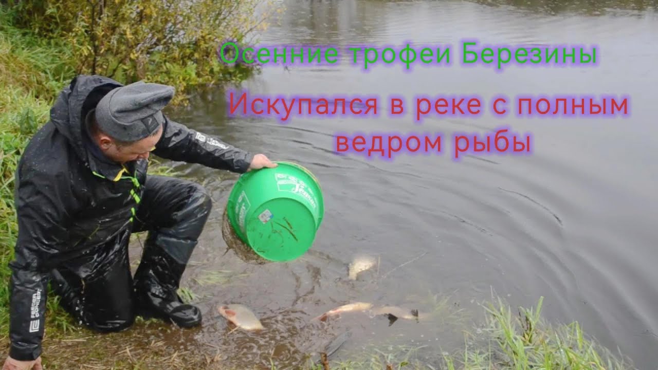 Осенние трофеи  Березины. Искупался в реке с полным ведром рыбы.
