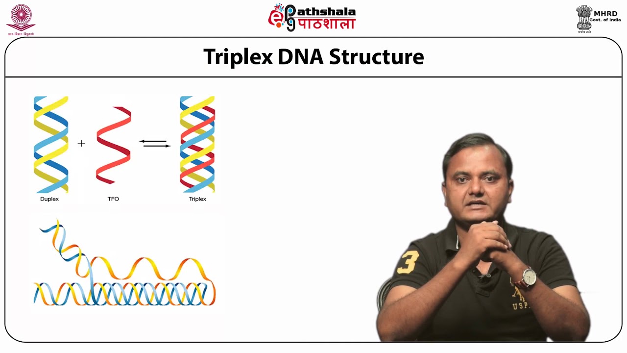 Conformation of Nucleic acids, Drug-DNA interactions; Thermal stability of Nucleic Acids