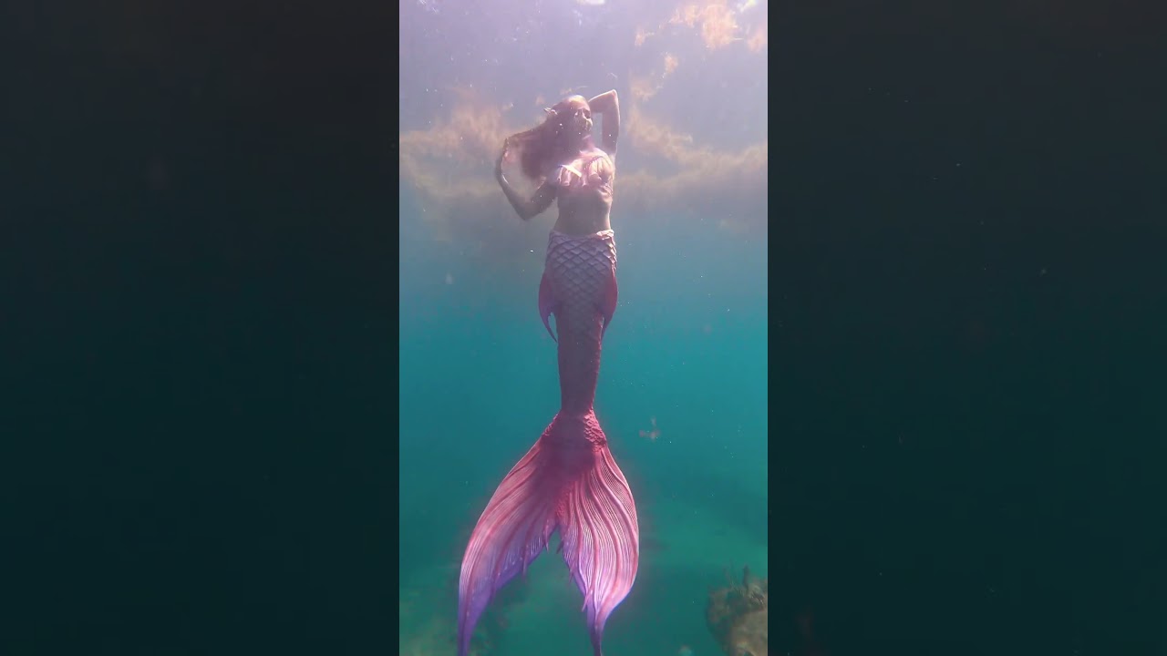 In the ocean, real mermaids are waiting for you! 🧜🏼&zwj;♀️ #mermaid #h2o #florida #underwater #gopro