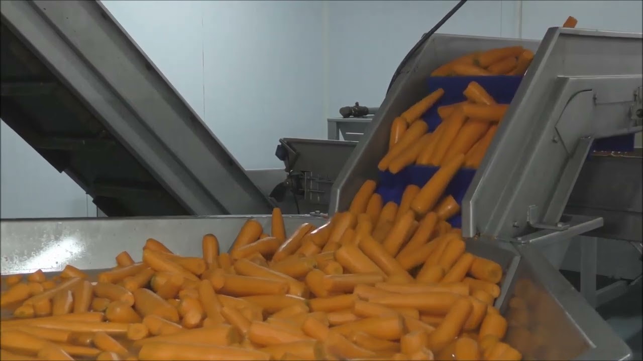 Carrot peeler knifepeeler éplucheuse carotte à lame carottes Blade Peeler Étêteuse  étêter carottes