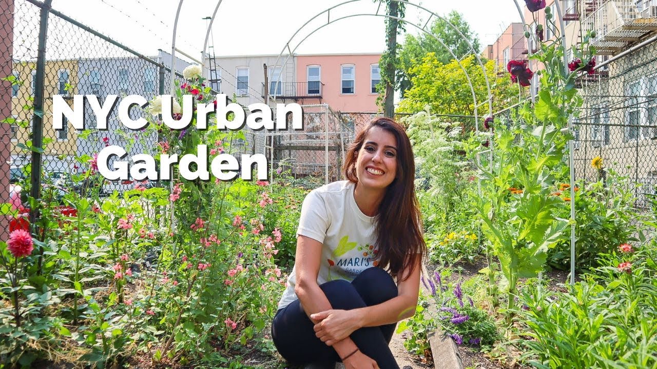 Full GARDEN TOUR Week 4 // Mari's Garden and Kitchen | Mid June 2023