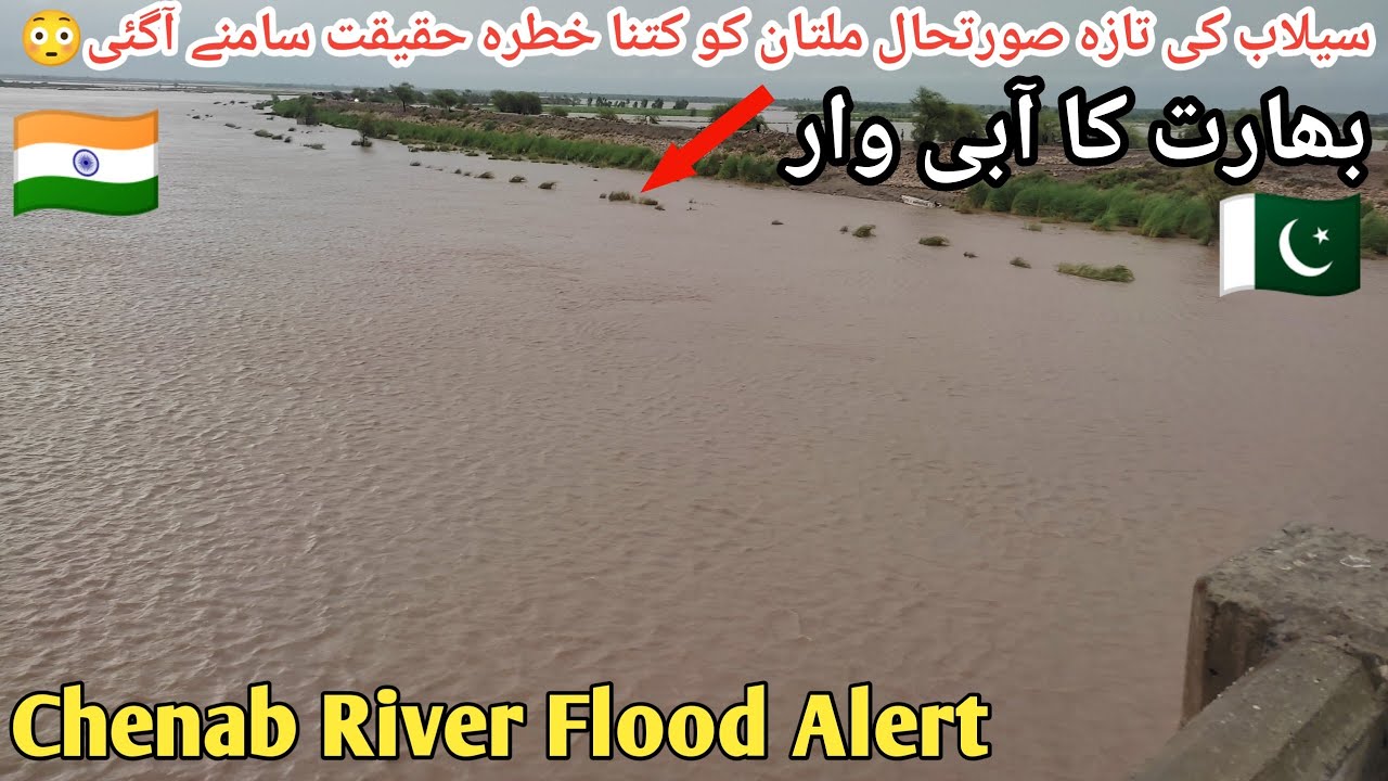 Head Muhammad Wala Multan Today | Chenab River Flood Alert | Flood in chenab river