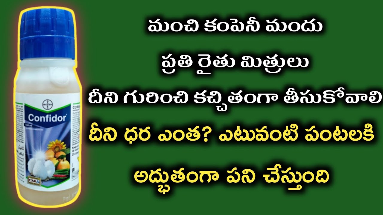 తెల్ల దోమ నివారణకు || imadacloprid insecticide || bayer confidor insecticide || bayer confidor price