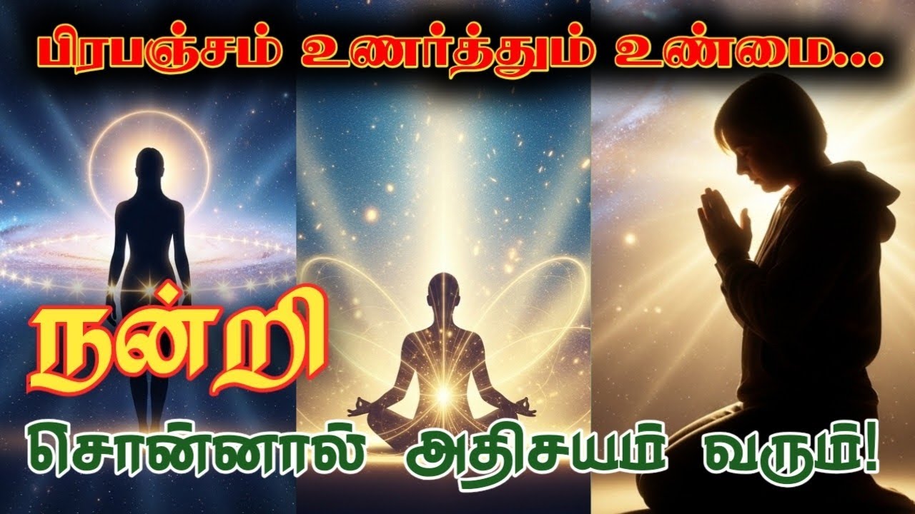 நன்றி சொல்லும் சக்தி |Gratitude மூலம் அதிசயம் ஈர்க்கும் ரகசியம் | Law of Attraction Tamil #awakening