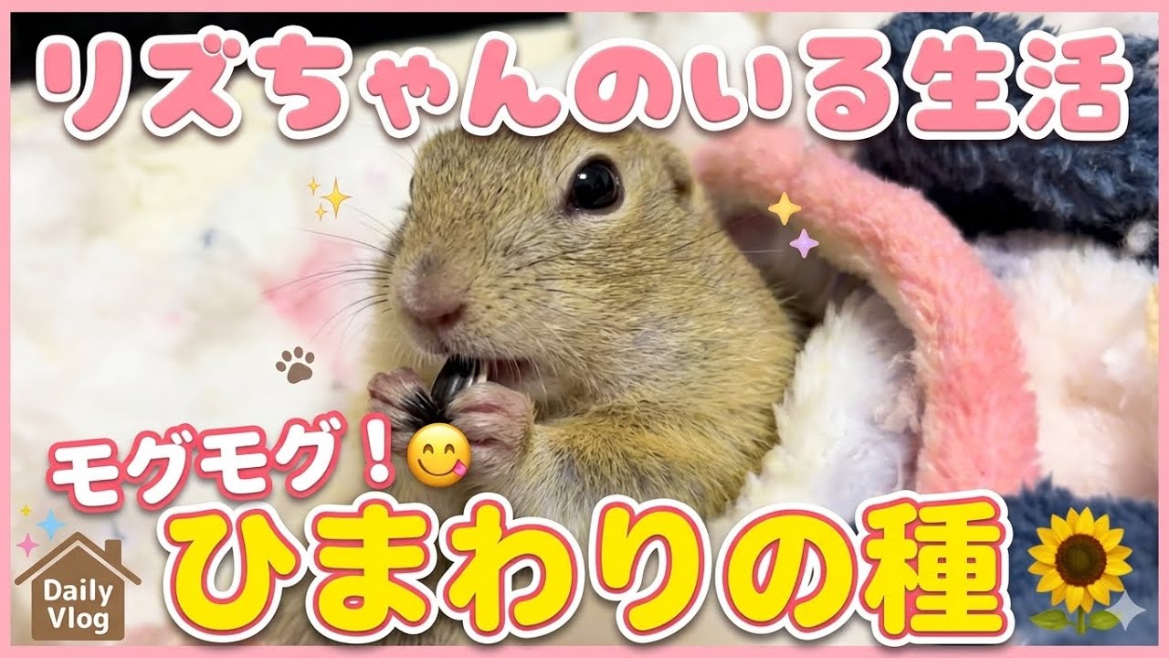リチャードソンジリスのいる生活。