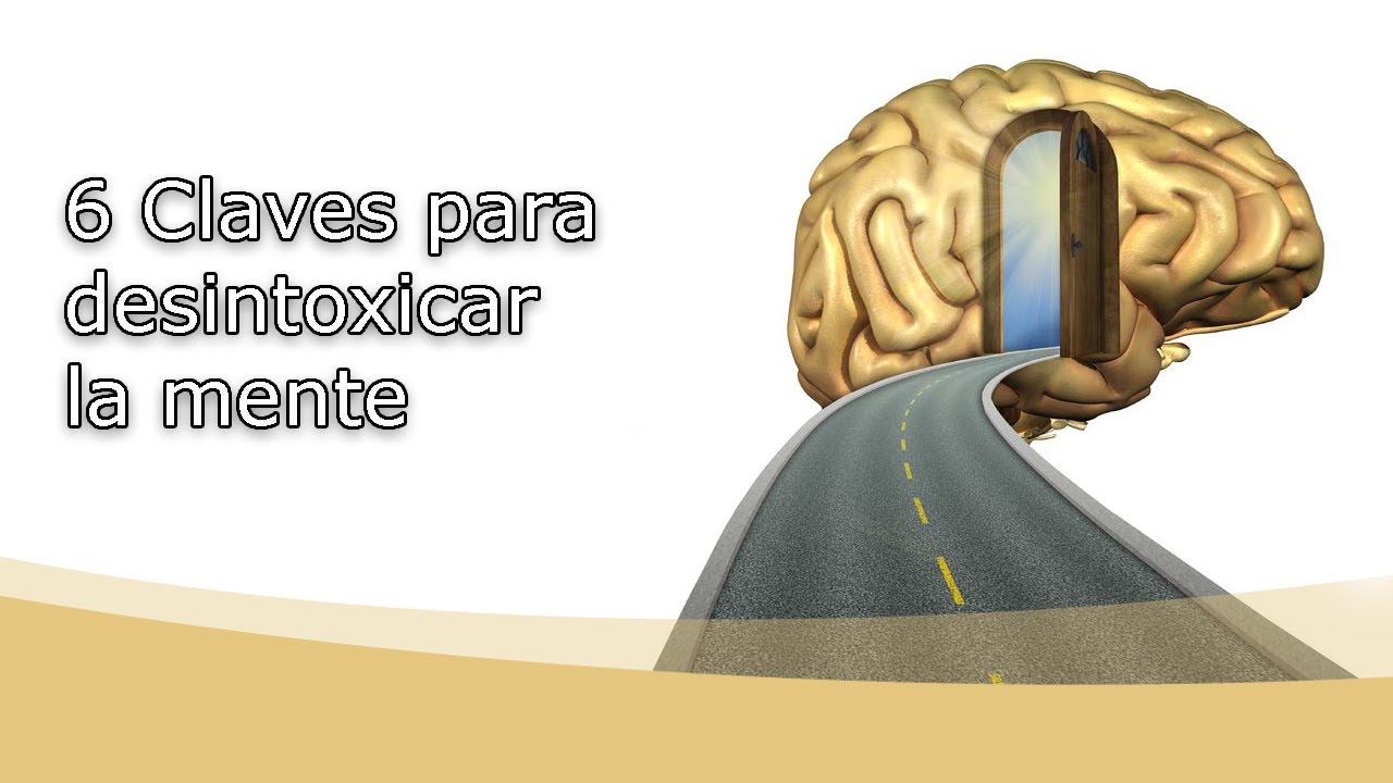6 Claves para desintoxicar tu mente