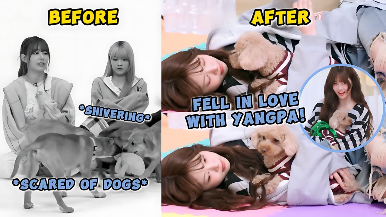 When EUNCHAE, who is scared of dogs, finally fell in love with them! 😍