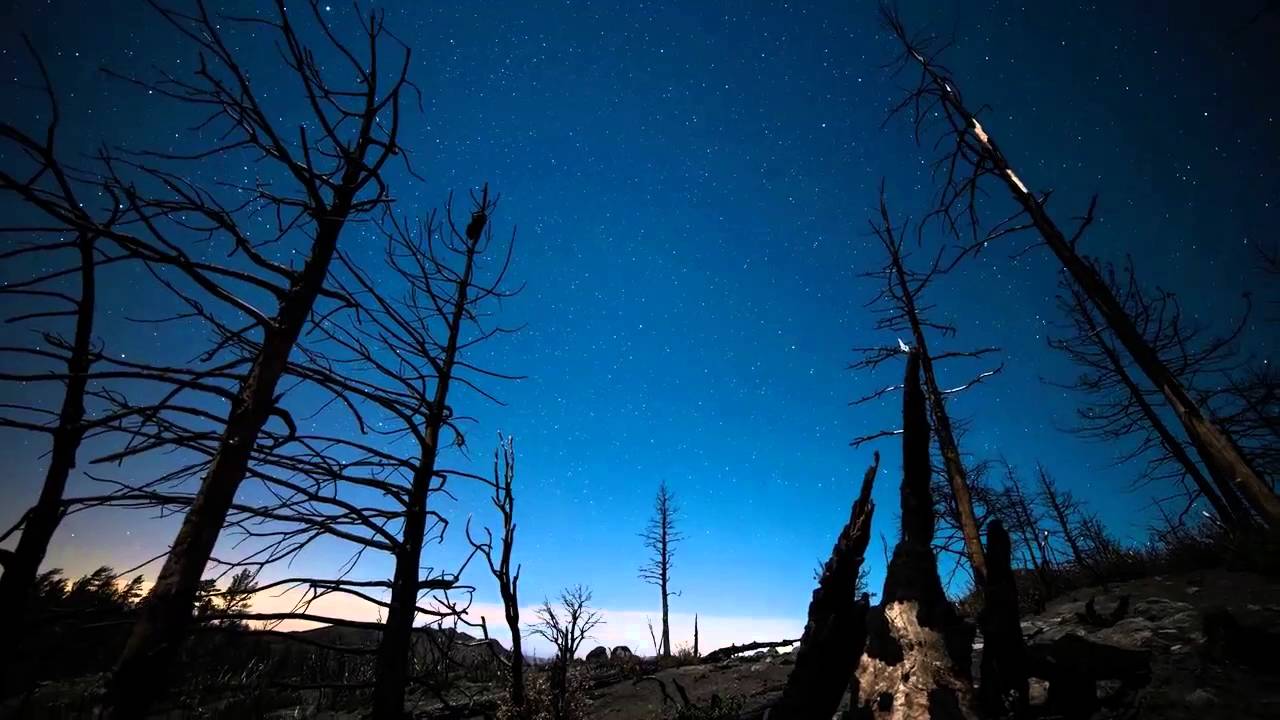 Vitodito - Cosmic