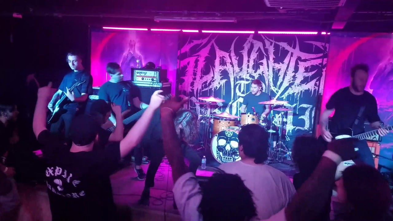 Spite 