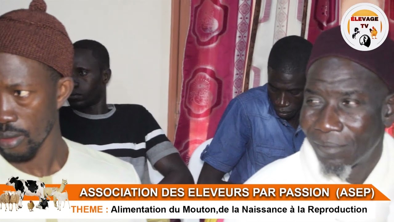 Atelier de formation sur la gestion alimentaire de nos animaux pr&eacute;cis&eacute;ment ladoum avec ASEP