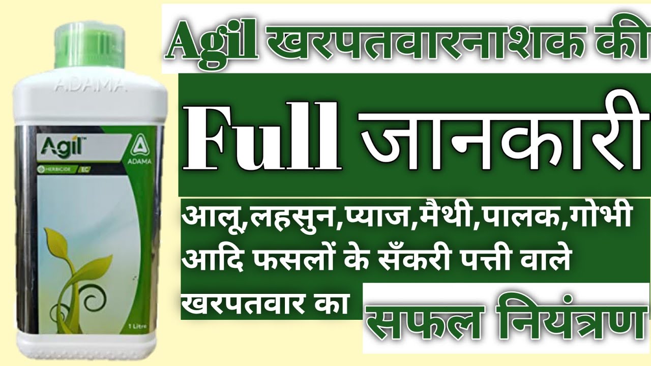 agil खरपतवार नाशक का सही उपयोग और लाभ।Correct use and benefits of agile herbicide.